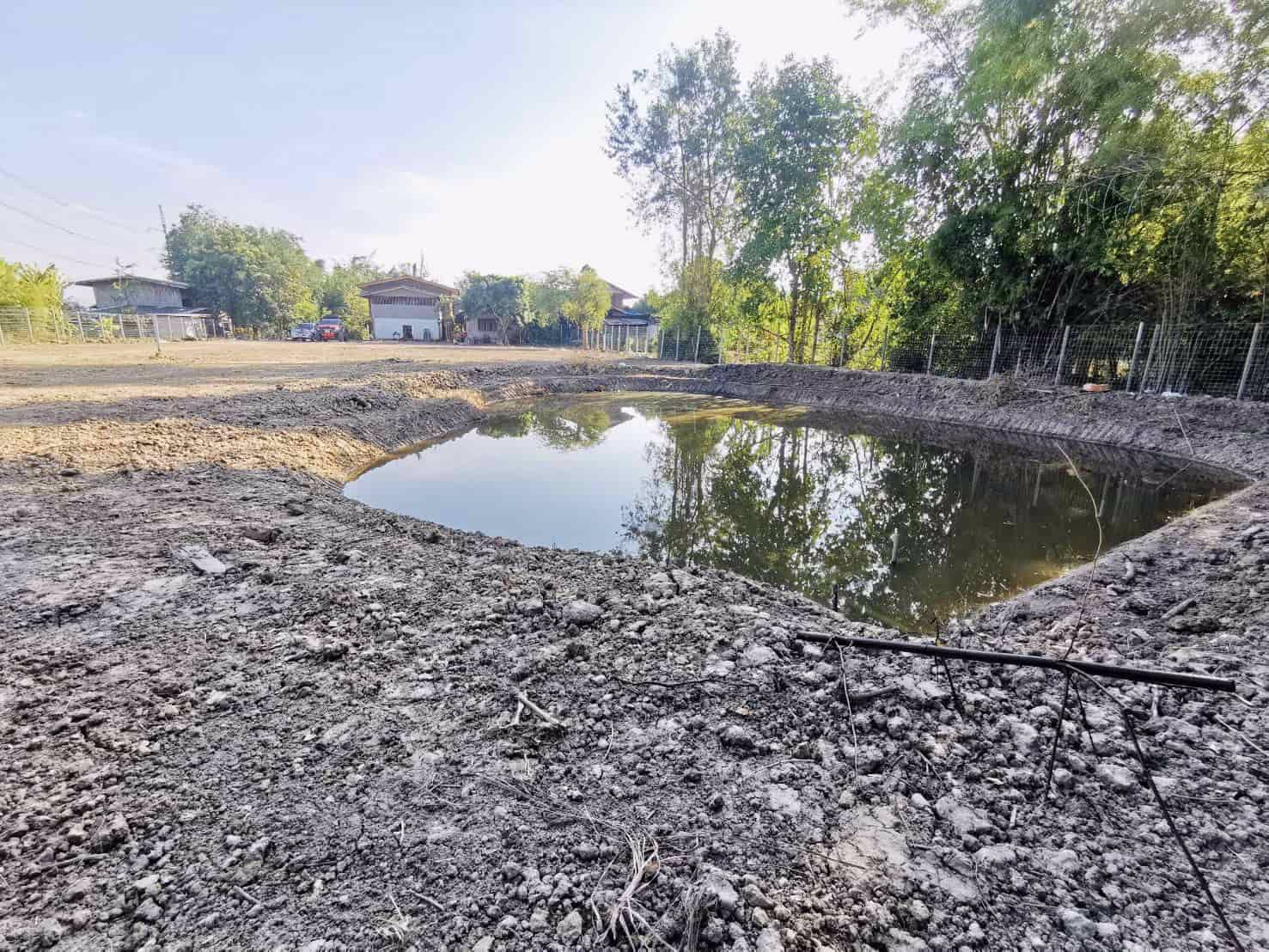 ขายบ้านไม้-1-หลัง-พร้อมที่ดิน-666-ตรว