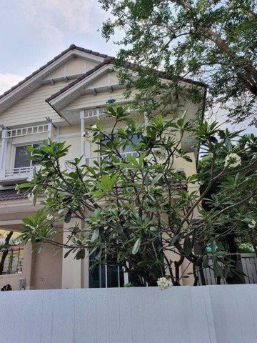 ae0048-ให้เช่าบ้านเดี่ยว-perfect-place-สุขุมวิท-77-เฟส-3-ใกล้สนามบินสุวรรณภูมิ-เนื้อที่-50-ตารางวา