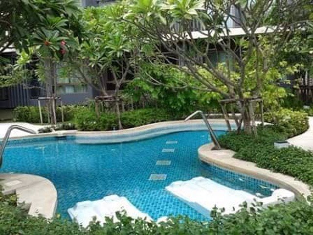 ae0064-ขาย-casa-condo-asoke-dindaeng-ขนาด-31-ตารางเมตร-ชั้น-5-เฟอร์ฯ-ครบ-บรรยากาศดี