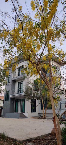 ae0084-ขาย-โฮมออฟฟิต-3-ชั้น-ซอยอ่อนนุช-53-ขนาด-472-ตรว-มี-4-ห้องนอน-3-ห้องน้ำ-อาคารใหม่