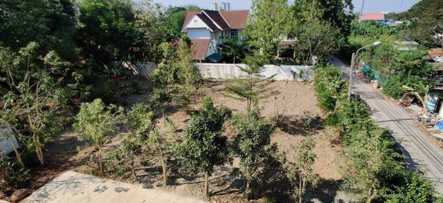 ae0084-ขาย-โฮมออฟฟิต-3-ชั้น-ซอยอ่อนนุช-53-ขนาด-472-ตรว-มี-4-ห้องนอน-3-ห้องน้ำ-อาคารใหม่