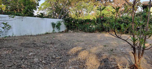 ae0084-ขาย-โฮมออฟฟิต-3-ชั้น-ซอยอ่อนนุช-53-ขนาด-472-ตรว-มี-4-ห้องนอน-3-ห้องน้ำ-อาคารใหม่