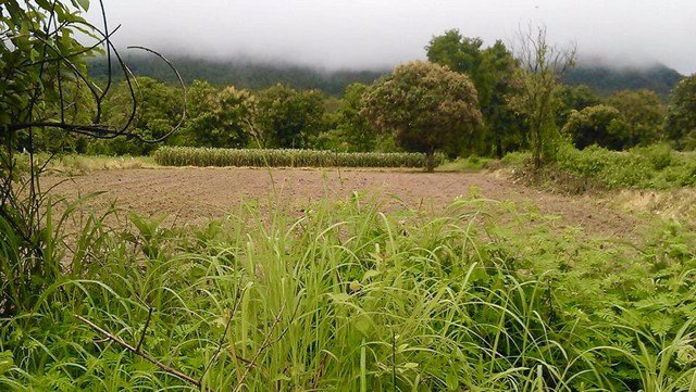 ae0088-ขายที่ดินสวยๆ-เนื้อที่-2-ไร่-3-งาน-12-ตรว-โฉนดใบเดียว-อำเภอแม่ออน-เชียงใหม่