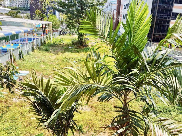 m1301-ให้เช่าห้องสวย-ใกล้-mrt-พระราม9-pg-ชั้น-3-ขนาด-30-ตรม-ห้อง-studio-โครงการ-2