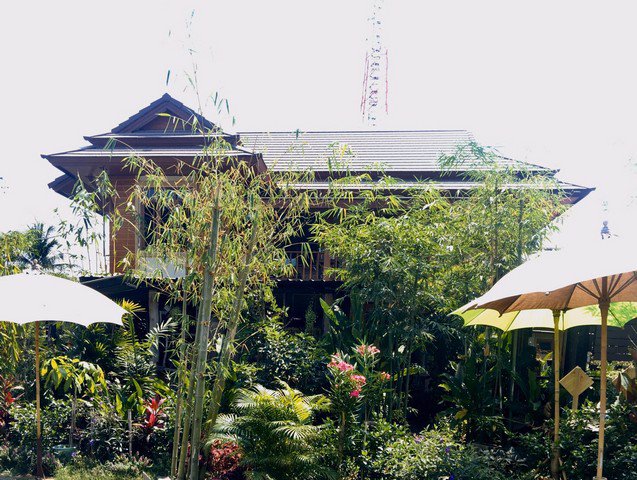 ae0107-ขายบ้านหลังใหญ่-เนื้อที่-315-ตรว-พร้อมกิจการร้านกาแฟ-และอาหารพื้นเมือง-ใกล้มหาวิทยาลัยแม่โจ้