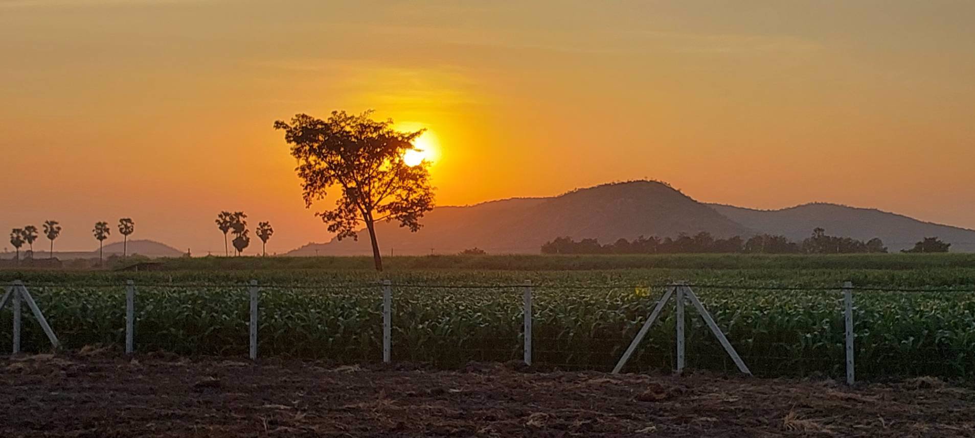 ที่ดินวิวเขาสวย-ราคาถูก-ทำเลดีถมแล้วขายยกแปลง-3ไร่-ล้อมรั้ว