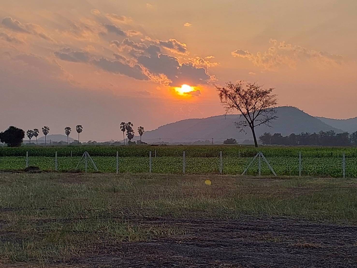 ที่ดินวิวเขาสวย-ราคาถูก-ทำเลดีถมแล้วขายยกแปลง-3ไร่-ล้อมรั้ว