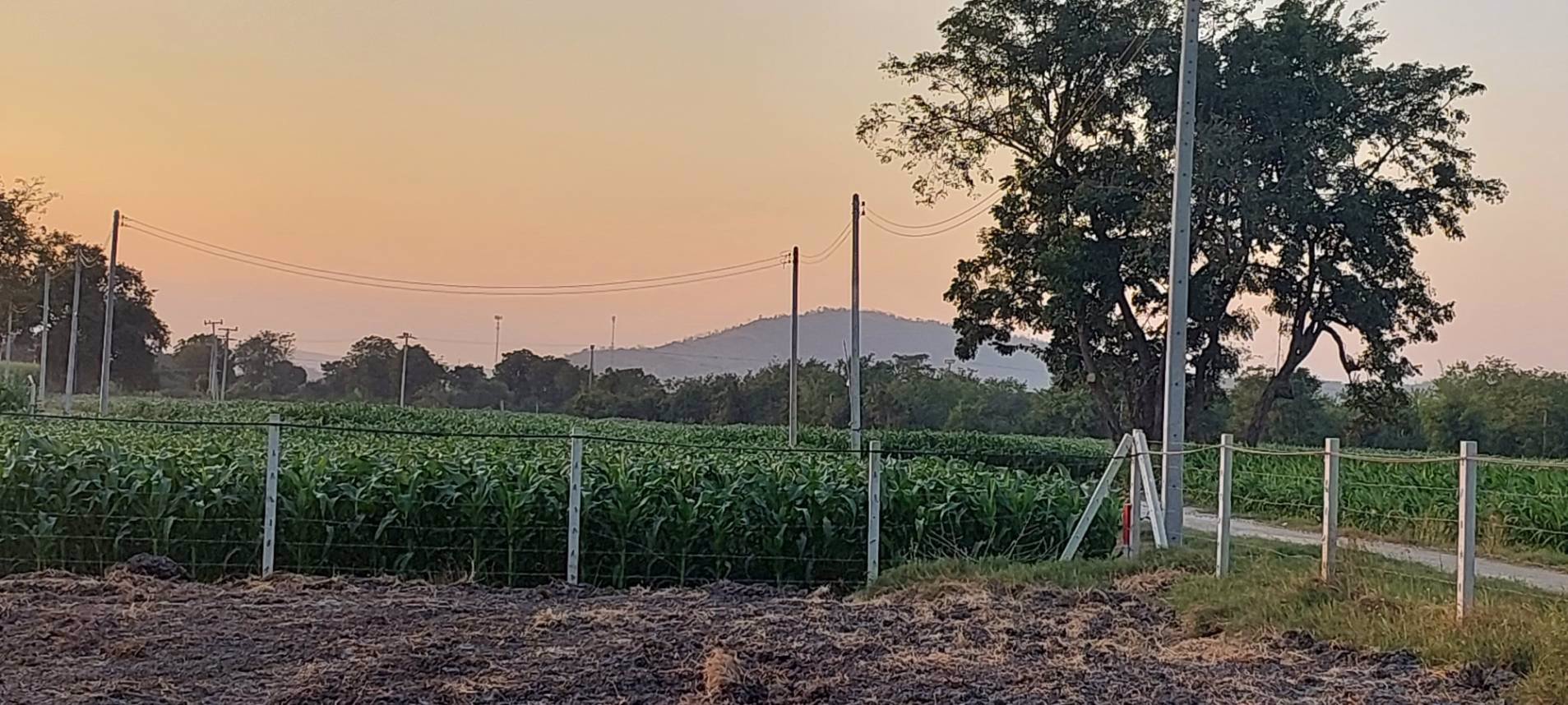 ที่ดินวิวเขาสวย-ราคาถูก-ทำเลดีถมแล้วขายยกแปลง-3ไร่-ล้อมรั้ว