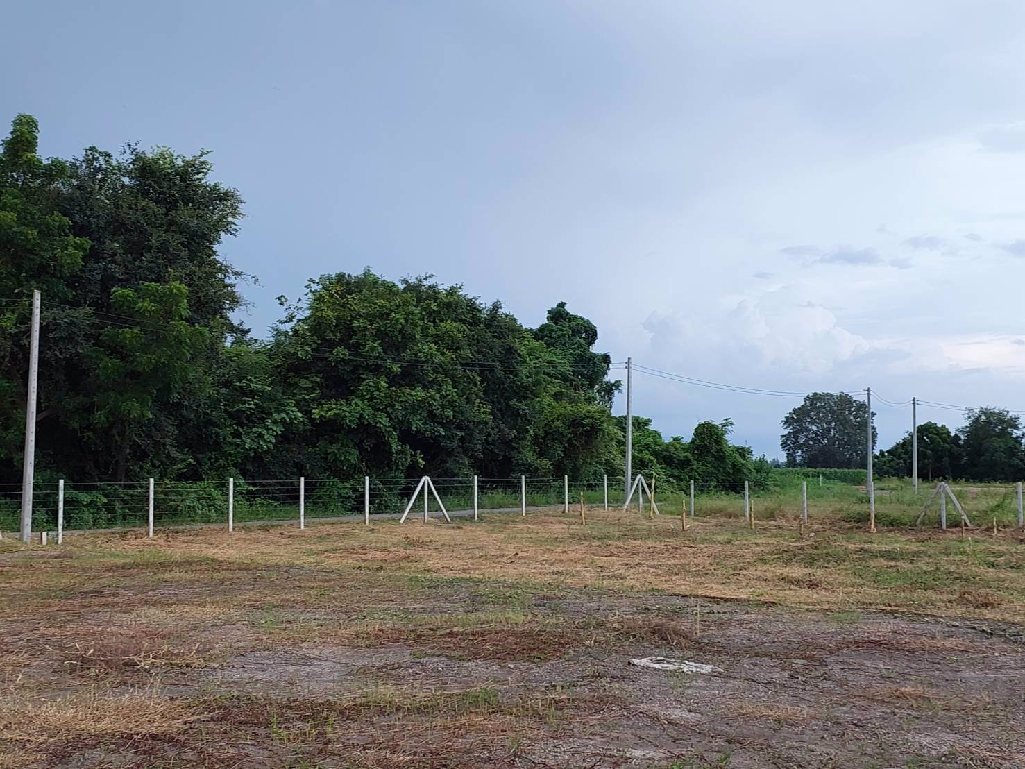 ที่ดินวิวเขาสวย-ราคาถูก-ทำเลดีถมแล้วขายยกแปลง-3ไร่-ล้อมรั้ว