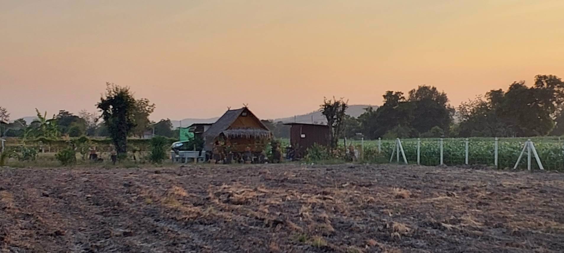 ที่ดินวิวเขาสวย-ราคาถูก-ทำเลดีถมแล้วขายยกแปลง-3ไร่-ล้อมรั้ว