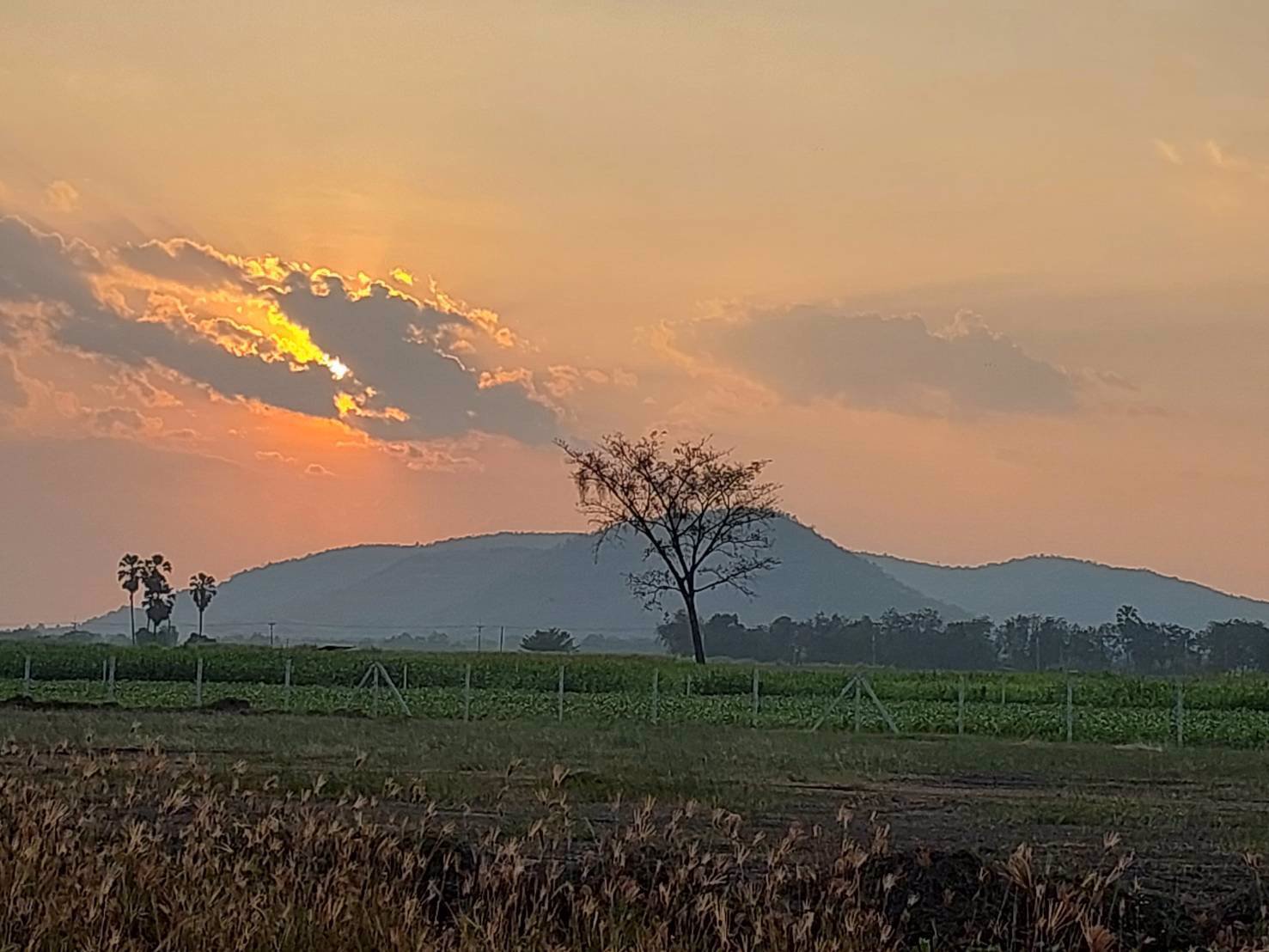 ที่ดินวิวเขาสวย-ราคาถูก-ทำเลดีถมแล้วขายยกแปลง-3ไร่-ล้อมรั้ว