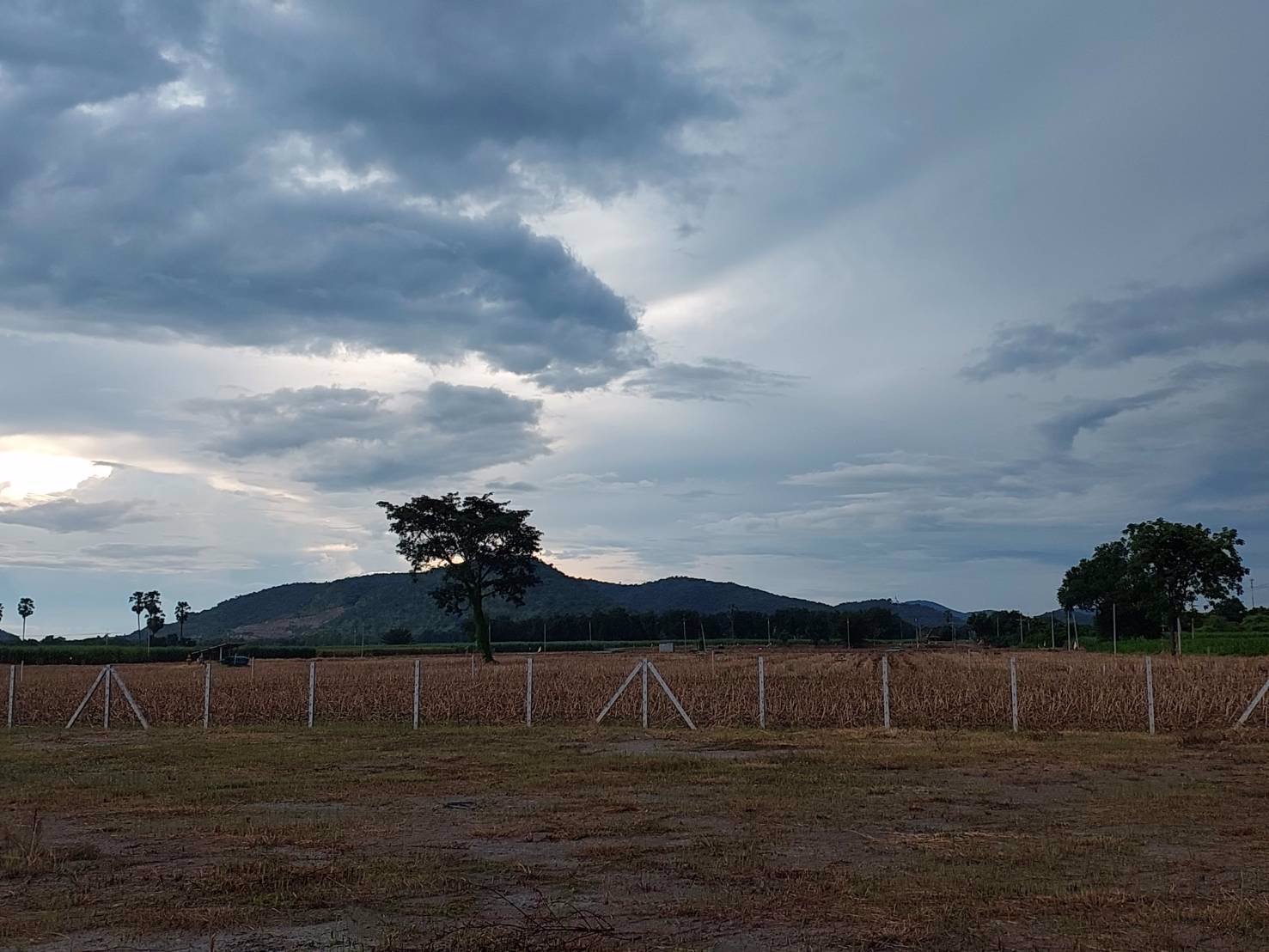 ที่ดินวิวเขาสวย-ราคาถูก-ทำเลดีถมแล้วขายยกแปลง-3ไร่-ล้อมรั้ว