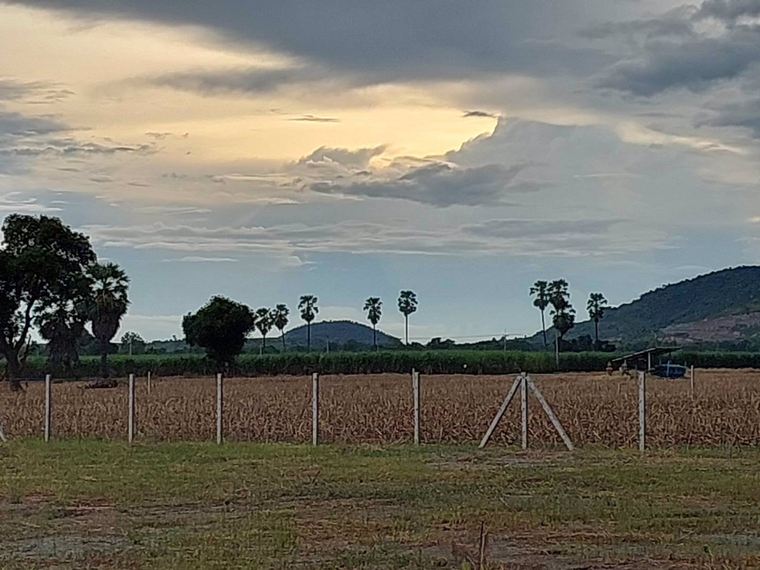 ที่ดินวิวเขาสวย-ราคาถูก-ทำเลดีถมแล้วขายยกแปลง-3ไร่-ล้อมรั้ว