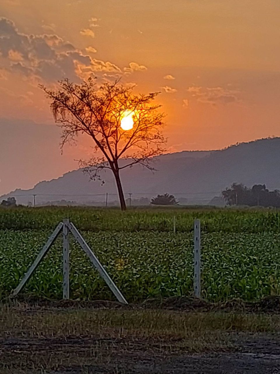 ที่ดินวิวเขาสวย-ราคาถูก-ทำเลดีถมแล้วขายยกแปลง-3ไร่-ล้อมรั้ว