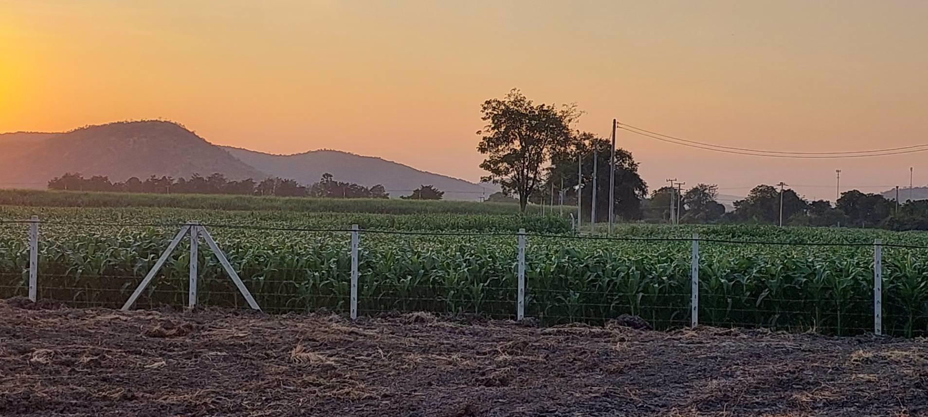 ที่ดินวิวเขาสวย-ราคาถูก-ทำเลดีถมแล้วขายยกแปลง-3ไร่-ล้อมรั้ว