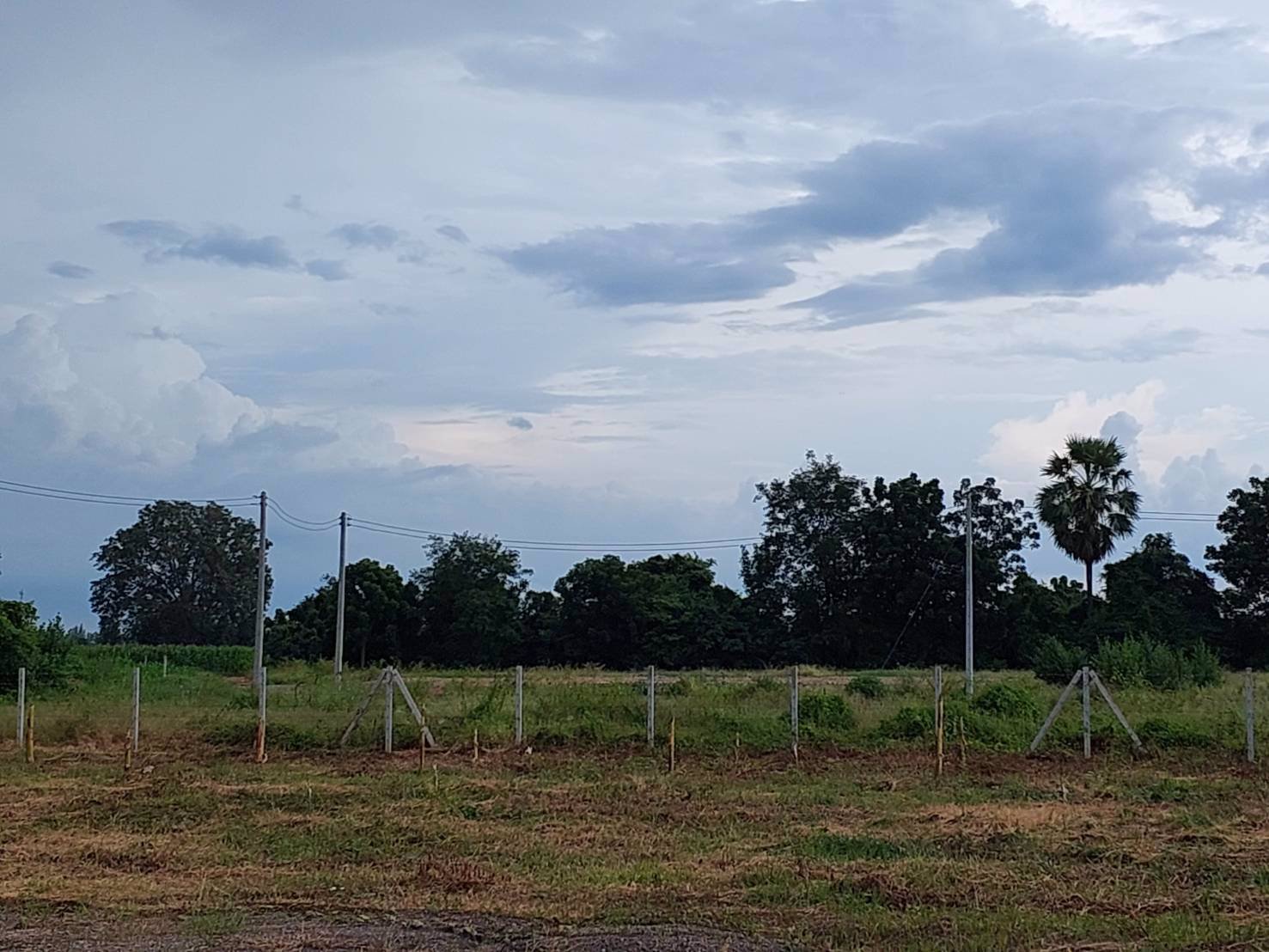 ที่ดินวิวเขาสวย-ราคาถูก-ทำเลดีถมแล้วขายยกแปลง-3ไร่-ล้อมรั้ว