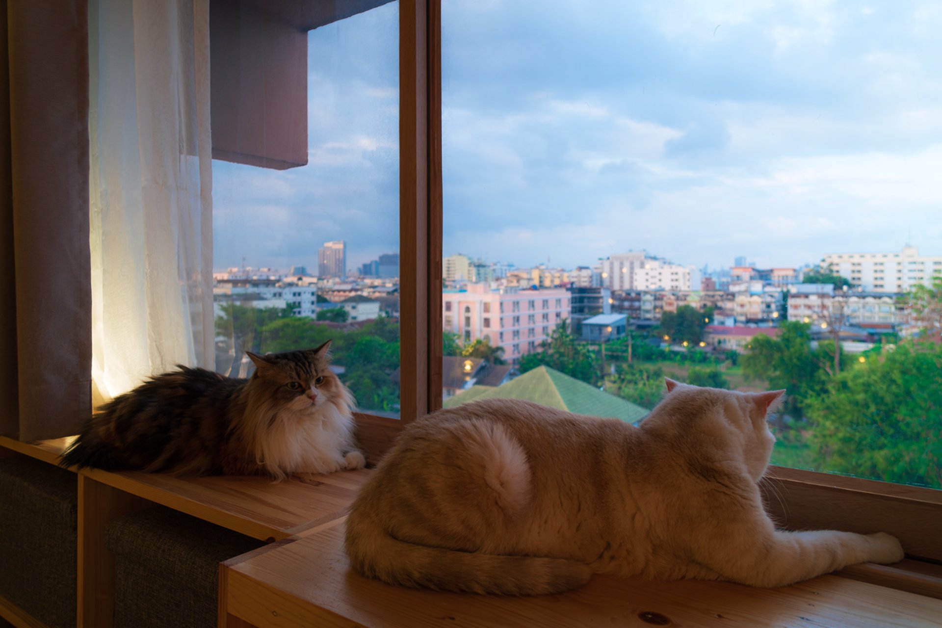 ขายคอนโดต่ำกว่าล้าน-ห้อง-43-ตรม-2-นอน-1-น้ำ-ใกล้รถไฟฟ้า-2-สาย