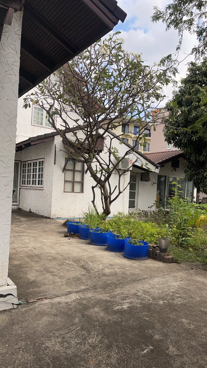 ขายที่ดิน-พร้อมบ้าน-และโชว์รูม-2-ชั้น-ใจกลางสุขุมวิท-ติดถนนสุขุมวิท77-อ่อนนุช-37-ทำเลทอง-ขนาดพื้นที