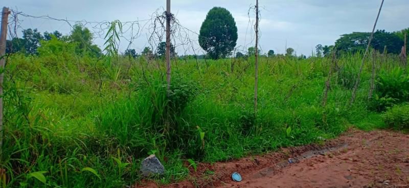 ขายที่สวนติดบ้านคน-เนื้อที่-1ไร่-2งาน-23ตรว