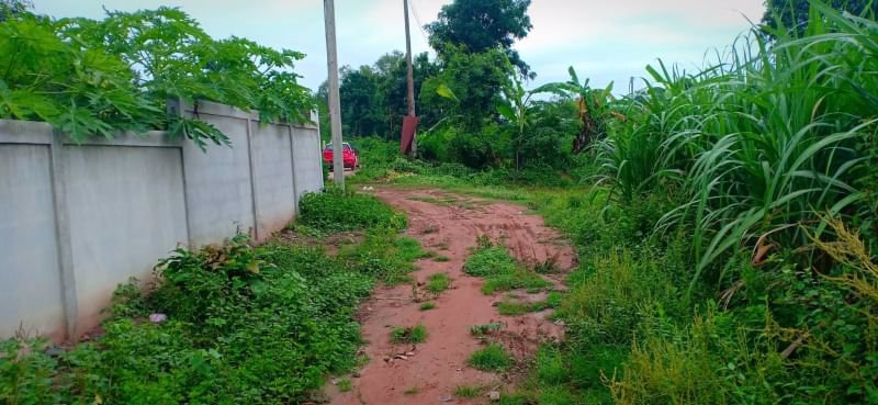 ขายที่สวนติดบ้านคน-เนื้อที่-1ไร่-2งาน-23ตรว