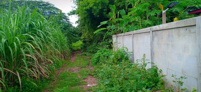 ขายที่สวนติดบ้านคน-เนื้อที่-1ไร่-2งาน-23ตรว