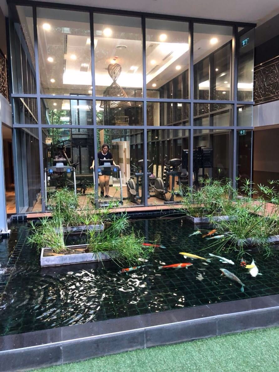 ขาย-tidy-deluxe-สุขุมวิท-34-คอนโดแต่งครบพร้อมอยู่-เพียง-5-นาทีถึง-รถไฟฟ้า-bts-ทองหล่อ