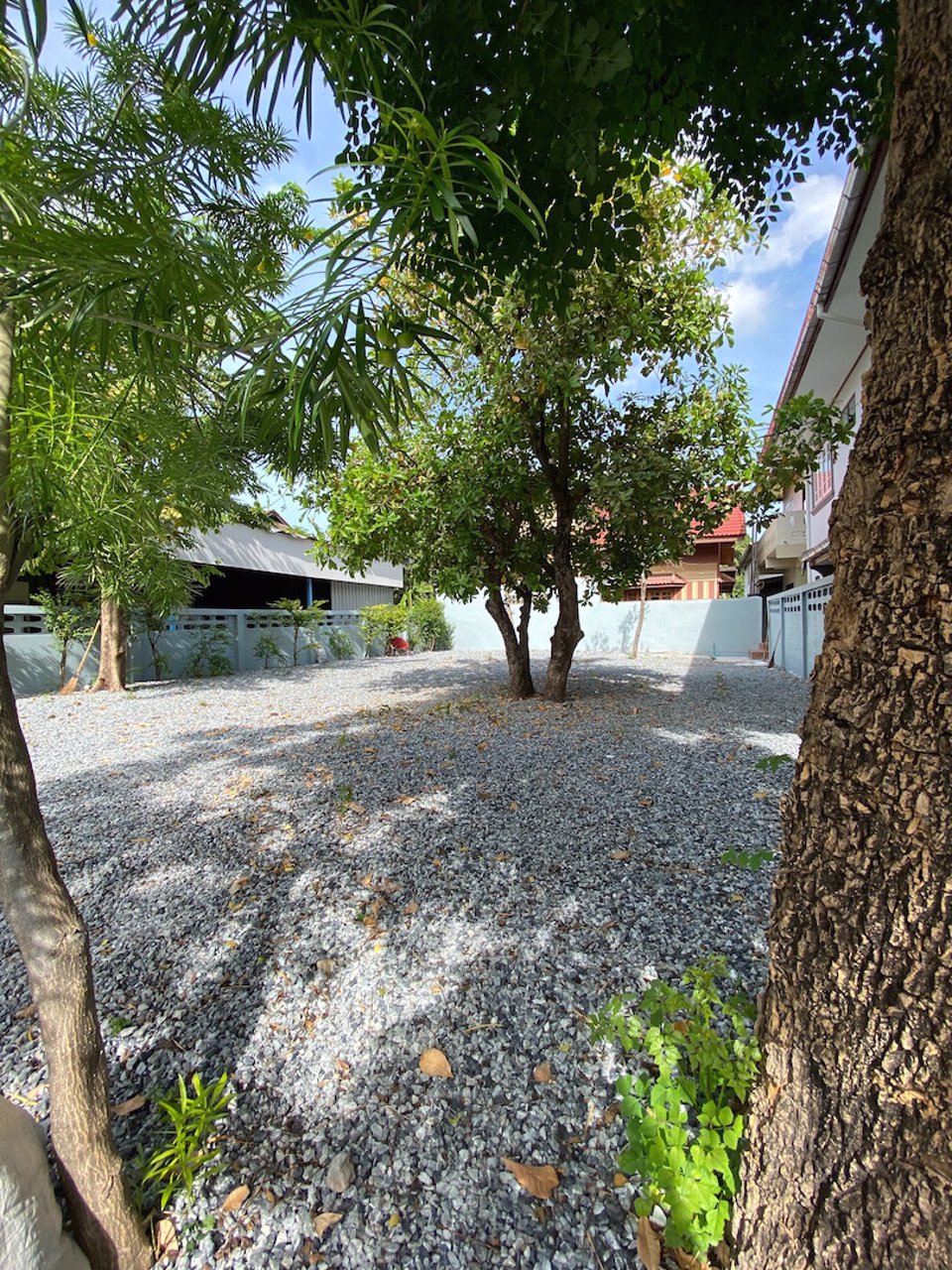 ให้เช่า-บ้านเดี่ยว-2-ชั้น-พร้อมที่ดินขนาดใหญ่