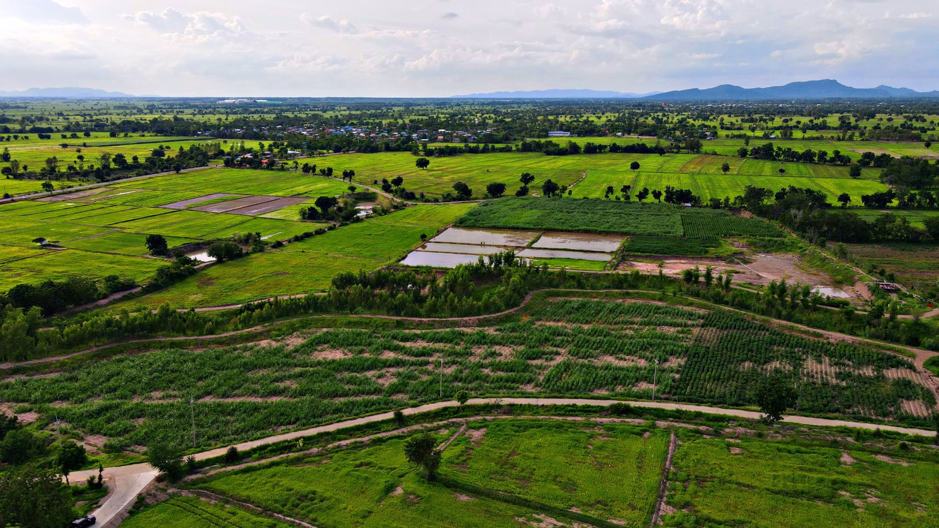 ที่ดินโฉนด-2-3ไร่หน้าติดถนนหลังติดคลอง