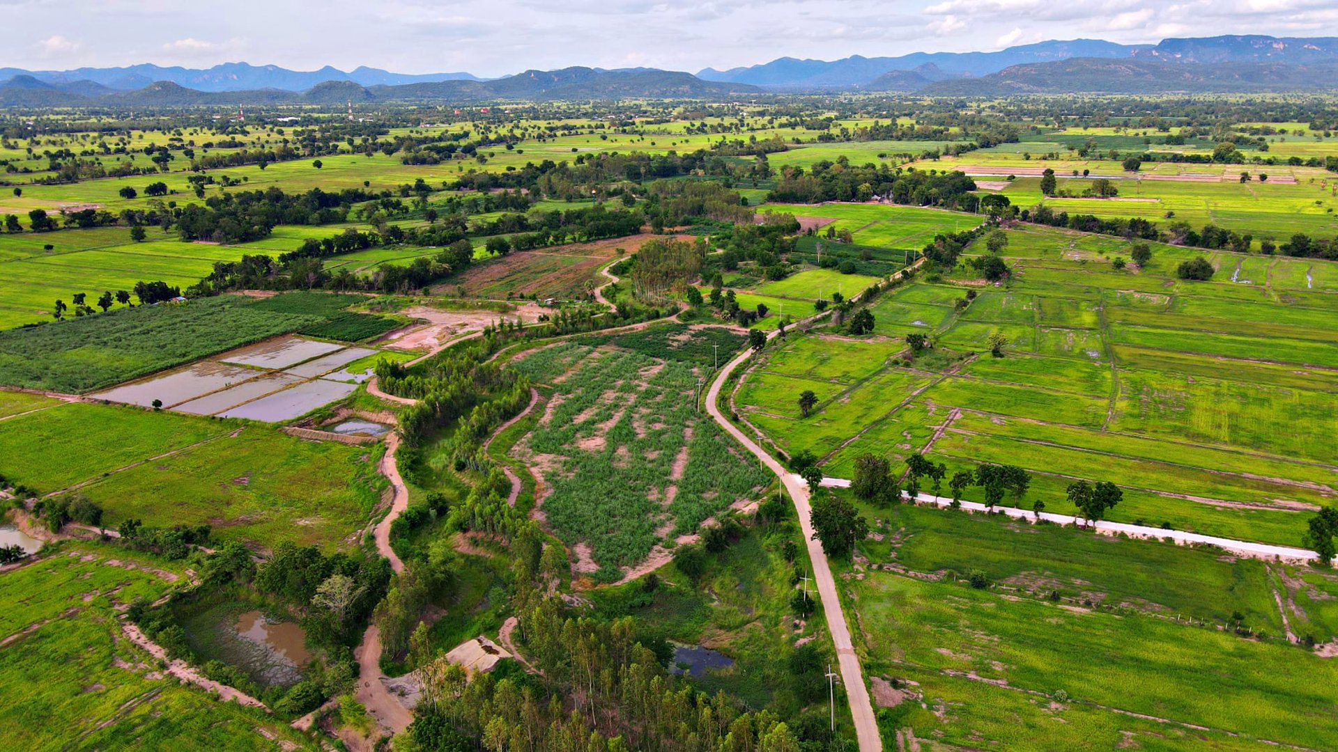ที่ดินโฉนด-2-3ไร่หน้าติดถนนหลังติดคลอง