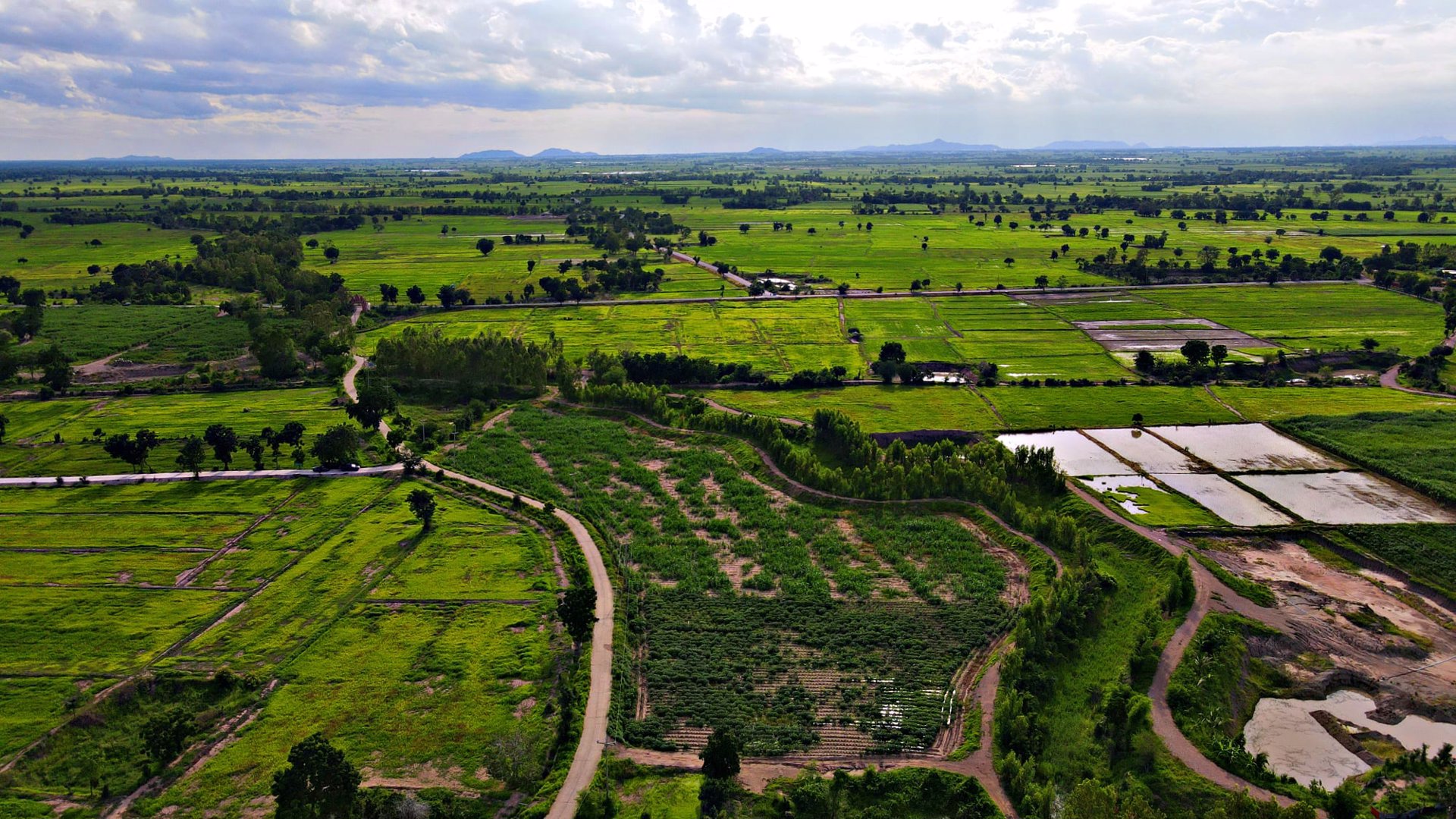 ที่ดินโฉนด-2-3ไร่หน้าติดถนนหลังติดคลอง