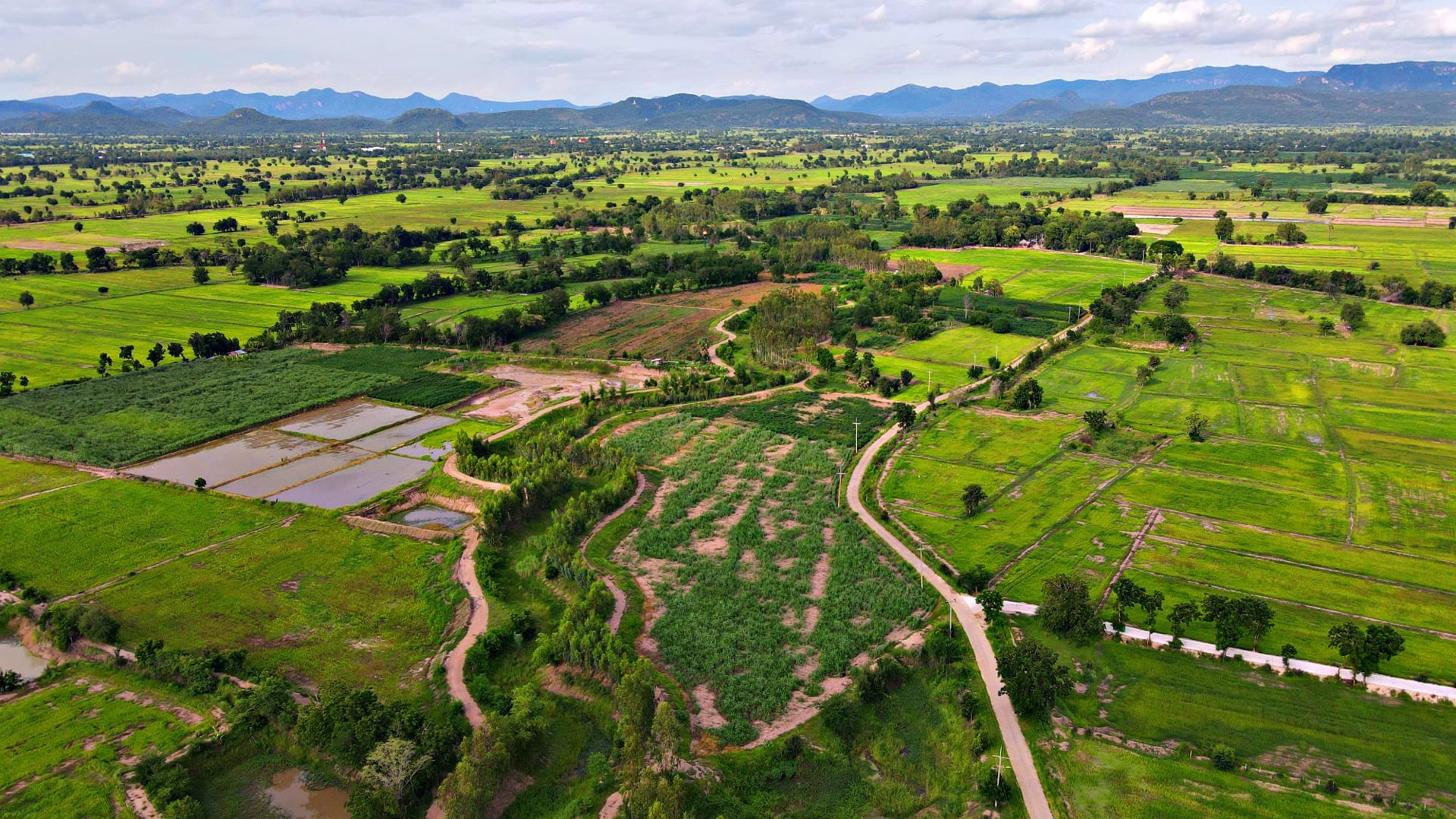ที่ดินโฉนด-2-3ไร่หน้าติดถนนหลังติดคลอง