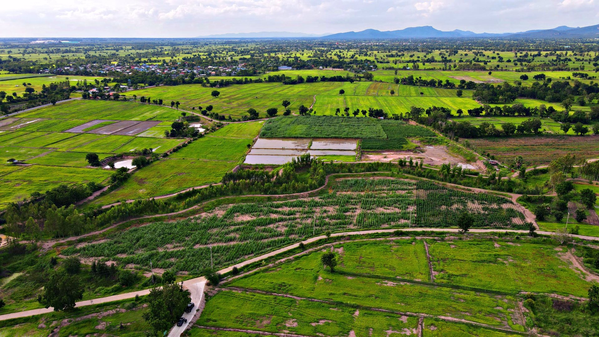 ที่ดินโฉนด-2-3ไร่หน้าติดถนนหลังติดคลอง