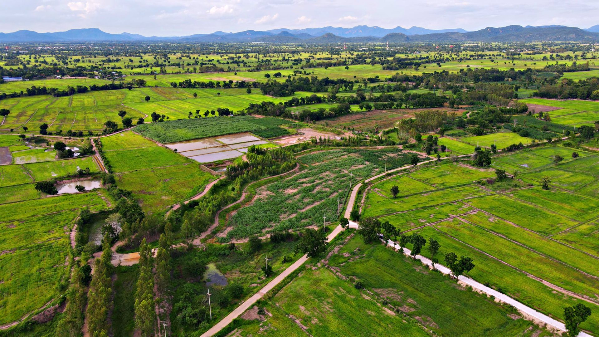 ที่ดินโฉนด-2-3ไร่หน้าติดถนนหลังติดคลอง
