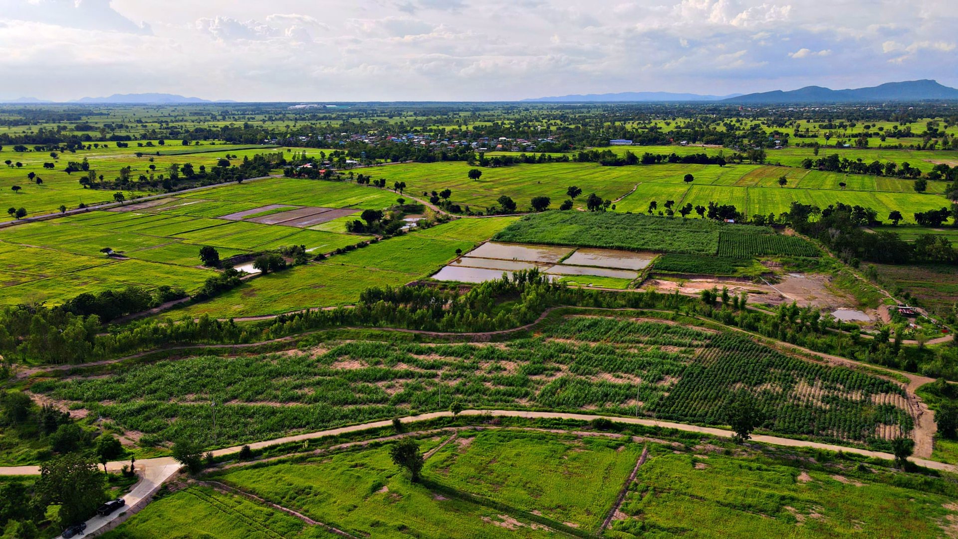 ที่ดินโฉนด-2-3ไร่หน้าติดถนนหลังติดคลอง