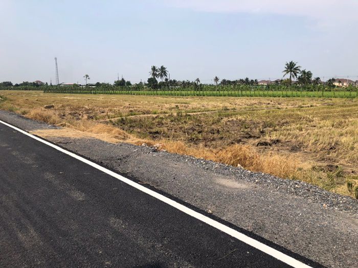 ที่ดินซอยเกตุอ่ำพัฒนา-อ-บางบัวทอง-จ-นนทบุรี-เนื้อที่-2-ไร่-เหมาะสำหรับซื้อเพื่อปลูกบ้าน-ทำสวนเกษตร