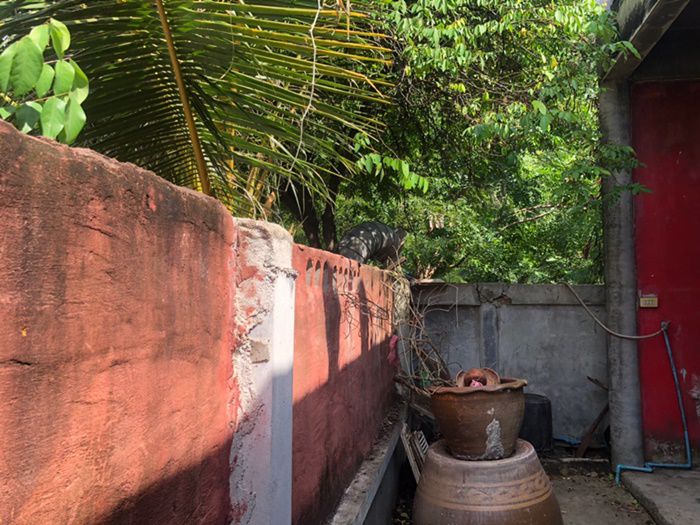 ขายด่วน-บ้านเดี่ยวหลังมุม-2-ชั้น-ภูมิใจนิเวศน์-3-721-ตรว-อพระสมุทรเจดีย์-จสมุทรปราการ