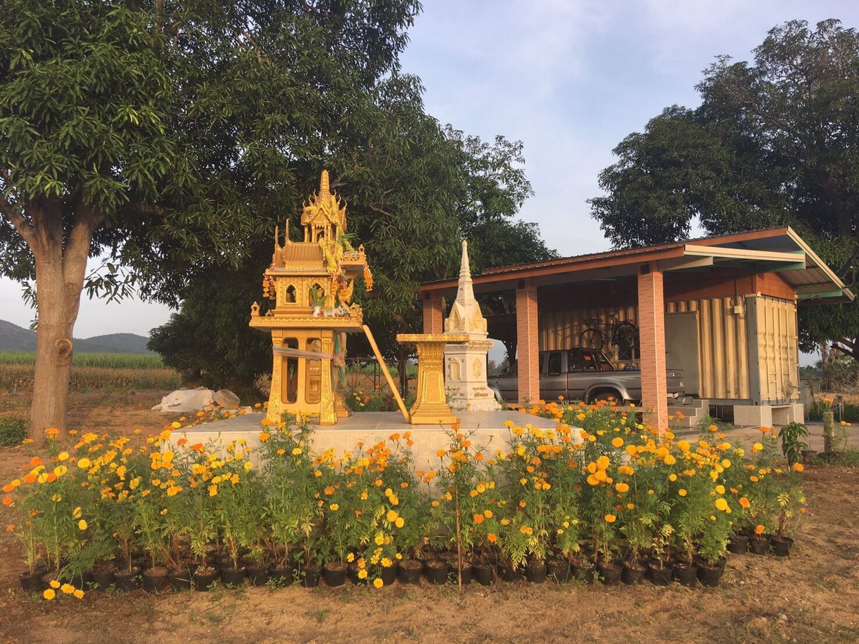 ที่ดินพร้อมสวนมะม่วง-เหมาะทำสวนเกษตร-พันธสัญญา-อ-หันหา-จ-ชัยนาท