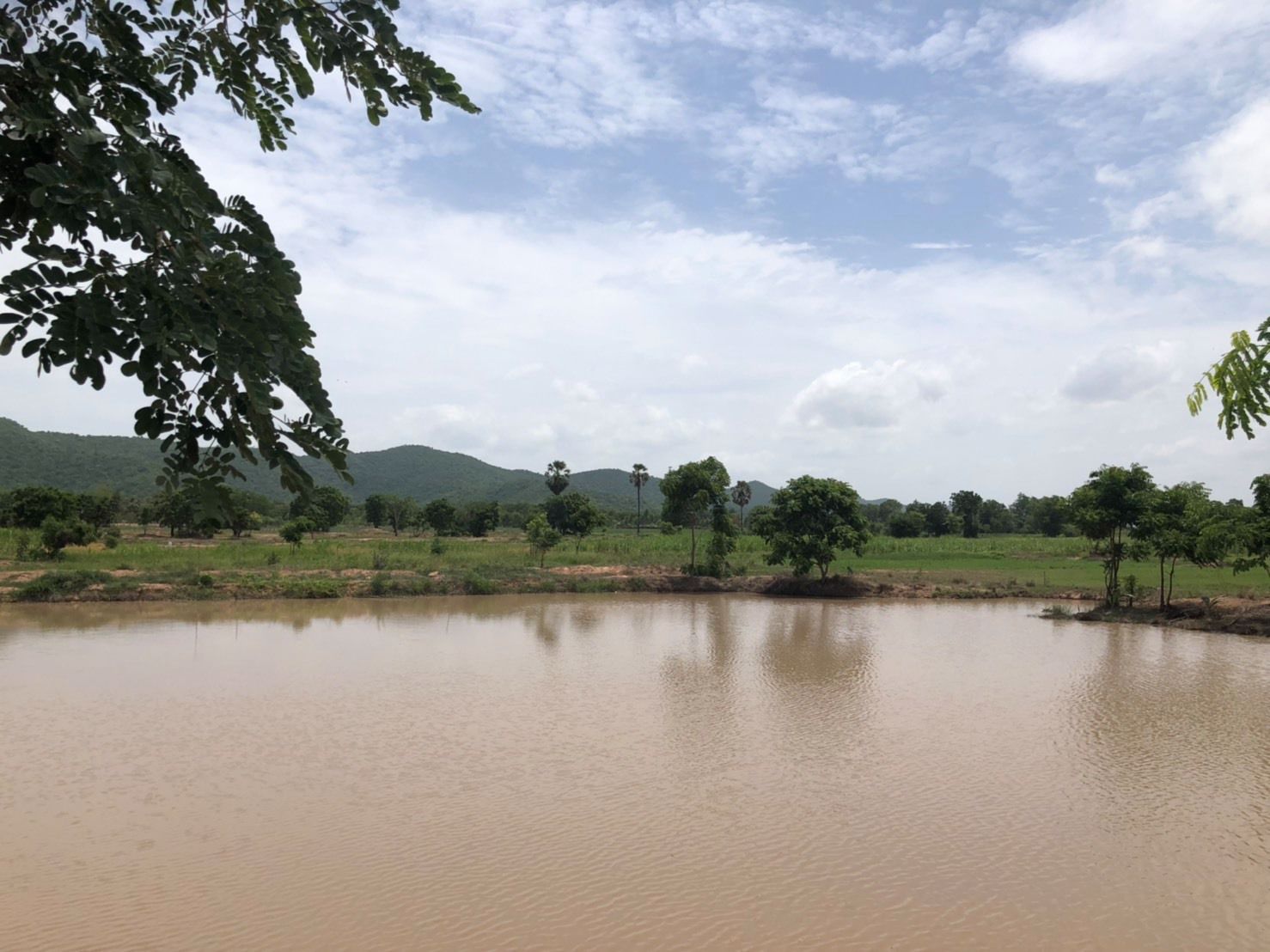 ที่ดินพร้อมสวนมะม่วง-เหมาะทำสวนเกษตร-พันธสัญญา-อ-หันหา-จ-ชัยนาท