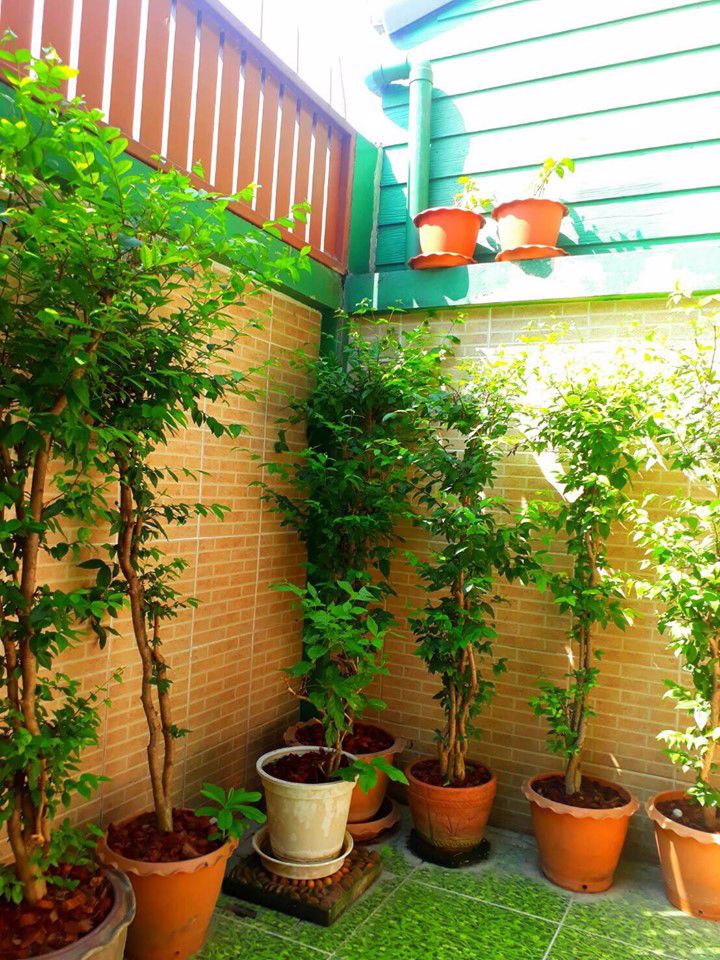 ขายด่วน-ทาวน์โฮม-3-ชั้น-กรีนพาร์ค-22-ตรว-ถนนบางกรวย-จงถนอม-อบางกรวย-จนนทบุรี