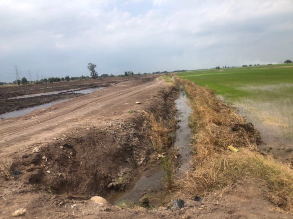 ขายที่ดิน-5-ไร่-3-งาน-94-ตารางวา-อบางไทร-จ-พระนครศรีอยุธยา-พร้อมทำสวนยางพาราไร่ทำนา-พร้อมผู้เช่