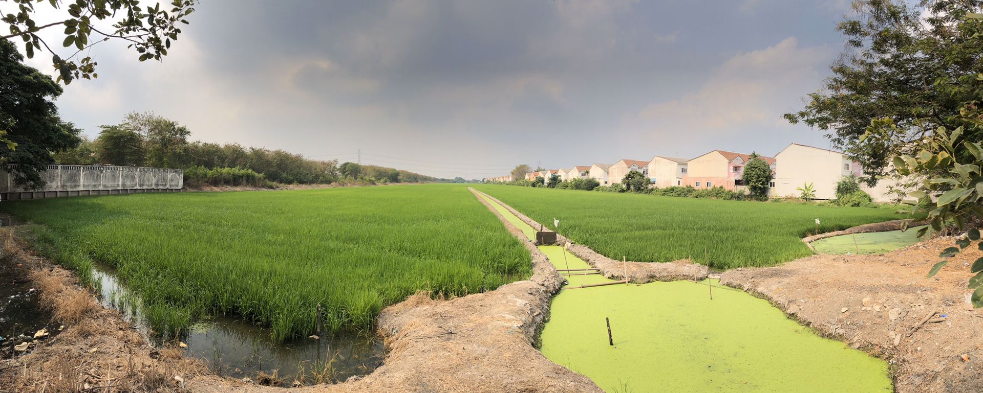 ขายที่ดินเปล่า-39-ไร่-อไทรน้อย-จนนทบุรี-ที่แปลงสวยเหมาะสำหรับสร้างโครงการบ้านจัดสรร-หรือพัฒนาด้านอ