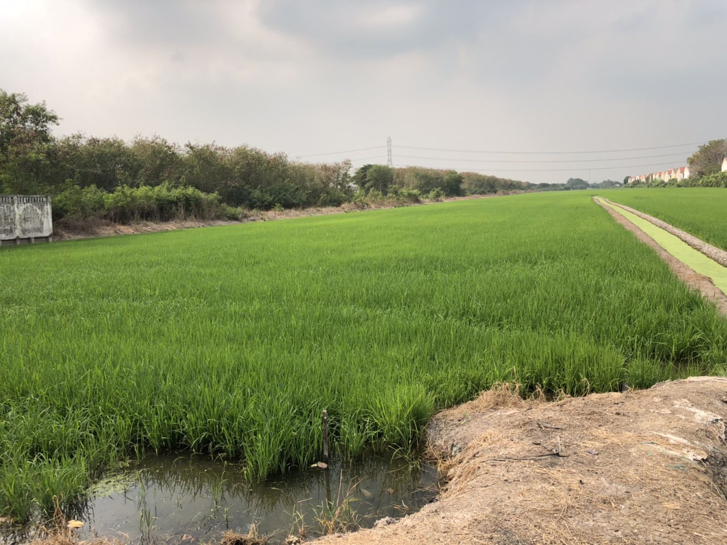 ขายที่ดินเปล่า-39-ไร่-อไทรน้อย-จนนทบุรี-ที่แปลงสวยเหมาะสำหรับสร้างโครงการบ้านจัดสรร-หรือพัฒนาด้านอ