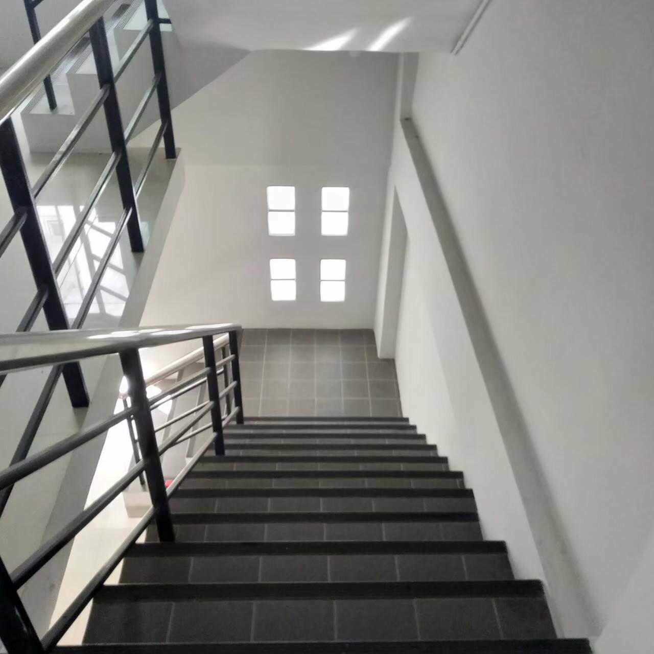 ขายขาดทุน-อาคารพาณิชย์-35-ชั้น-พร้อมผู้เช่า-ทำเลดี-โครงการทิวลิปสแควร์-ติดถนนเพชรเกษม