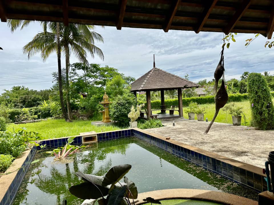 ขายด่วน-บ้านไม้สไตล์ล้านนา-ดอยตุง-เชียงราย