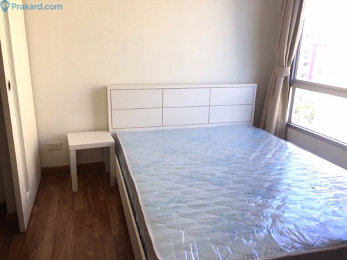 ให้เช่า-1br-the-seed-condominium-top-floor-