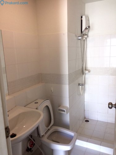 ให้เช่า-1br-the-seed-condominium-top-floor-