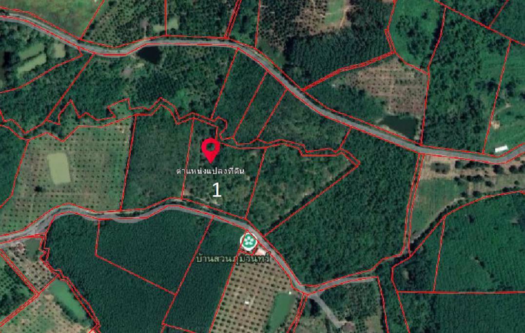 ขายที่ดิน-สวนยางพร้อมตัดได้เลย-และ-ไม้กฤษณา-อายุ-20-ปี