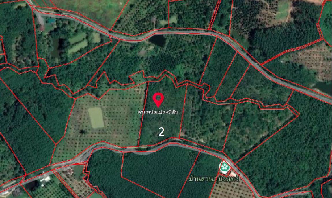 ขายที่ดิน-สวนยางพร้อมตัดได้เลย-และ-ไม้กฤษณา-อายุ-20-ปี