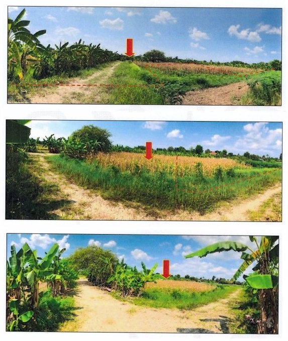 ขายที่ดินเปล่าจังหวัดเชียงใหม่-จำนวน-16-แปลง-ราคาขายเพียง-7677750-บาท-เจ้าของขายเอง