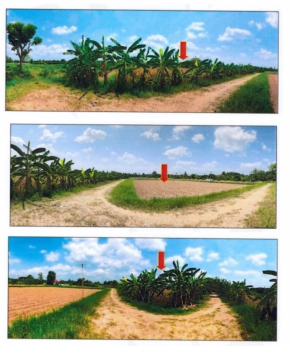 ขายที่ดินเปล่าจังหวัดเชียงใหม่-จำนวน-16-แปลง-ราคาขายเพียง-7677750-บาท-เจ้าของขายเอง